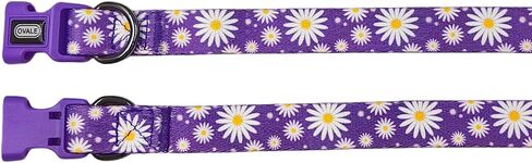 Ovale Dog Collar Leash Combo Set, Adjustable Collar and 5 ft Matching Leash, for Medium Dogs.(M, Light Pink Daisy) in Saudi Arabia