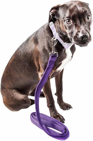 مقود الكلاب الشبكي من Pet Life ® يتميز بشبكة مزدوجة الجوانب للتهوية - يتصل بأي حزام أو طوق للكلاب مع خطاف دوار لسحب مقود الحيوانات الأليفة متعدد الاتجاهات in Saudi Arabia
