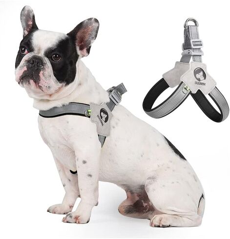 New Dog Chest Harness Saddle Pet Chest Harness Breathable Reflective Dog Harness with Random Color (Plink Blue Orange Purple) 5.23ft Dog Leash (Black, L) in Saudi Arabia