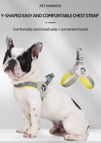 New Dog Chest Harness Saddle Pet Chest Harness Breathable Reflective Dog Harness with Random Color (Plink Blue Orange Purple) 5.23ft Dog Leash (Black, L) in Saudi Arabia