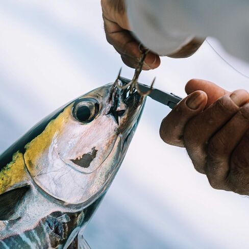 كماشة صيد السمك Mustad Hero مقاس 7 بوصات، محملة بنابض، مقبض مريح، قبضة مزخرفة، مع غمد، أزرق in Kuwait