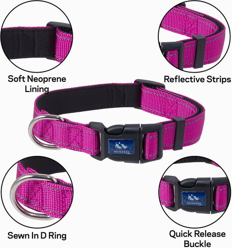 5ft Dog Leash, Dog Collars, Poop Bag Dispenser, & Collapsible Dog Bowls. Rope Leash for Small Dogs, with Heavy Duty Nylon Rope. (Small Pink) in Saudi Arabia