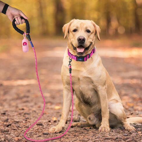 5ft Dog Leash, Dog Collars, Poop Bag Dispenser, & Collapsible Dog Bowls. Rope Leash for Small Dogs, with Heavy Duty Nylon Rope. (Small Pink) in Saudi Arabia