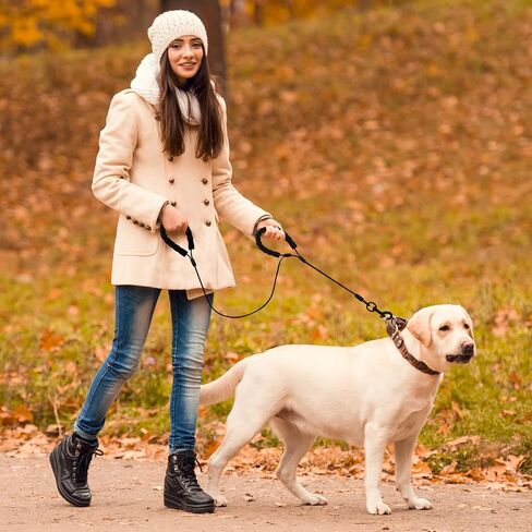 6 Feet Heavy Duty Dog Leash Super Strong Special Stainless Steel Alloy Metal Wire, Soft Foam Double Handle Water and Chew Proof Sturdy Hand Protection in Saudi Arabia