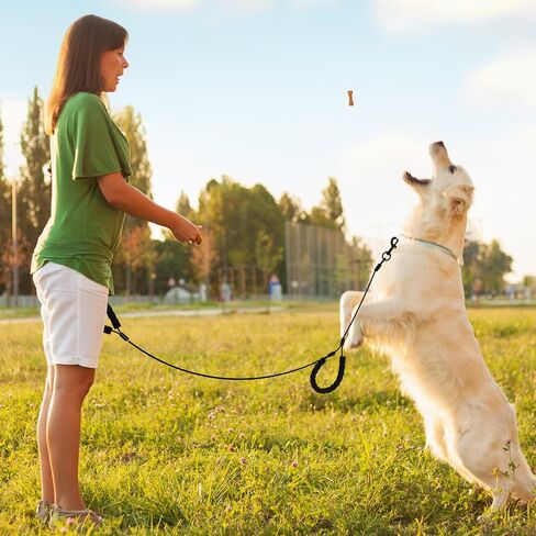 6 Feet Heavy Duty Dog Leash Super Strong Special Stainless Steel Alloy Metal Wire, Soft Foam Double Handle Water and Chew Proof Sturdy Hand Protection in Saudi Arabia