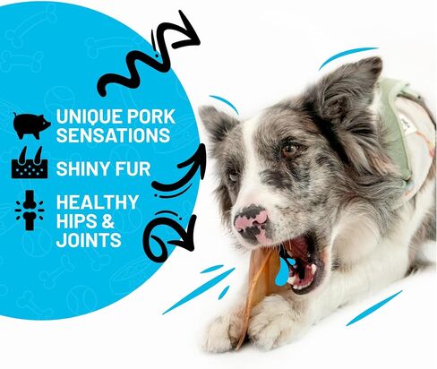 Sitka Farms Pig Ears for Dogs 50 Count - 100% Natural Premium Dog Treats - Single Ingredient Training and Reward - Dental Chews for Large Small and Medium Dogs in Kuwait