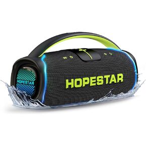 WorryFree Gadgets Hopestar Series 300W Portable Speaker with Handle & Microphone (Gray)