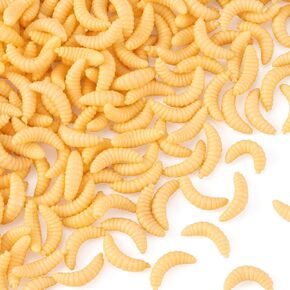 150Pcs Fake Worms for Fishing, Bass Soft Maggots Baits Bread Worm Realistic Fishing Lure, Plastic False Wax Worm for Freshwater Ice Lure Fishing
