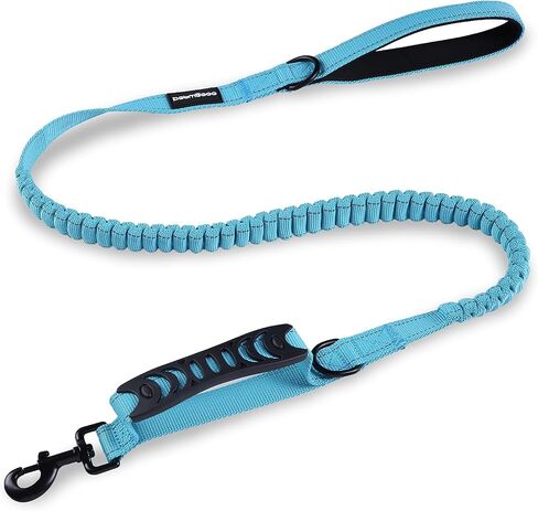 Premium 5.5FT Reflective Bungee Dog Leash for Medium and Large Dogs - Shock Absorbing with Padded Handle and Traffic Handle - Perfect for Training and Control in Saudi Arabia