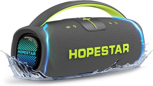 WorryFree Gadgets مكبر صوت محمول من سلسلة Hopestar بقدرة 300 واط مع مقبض وميكروفون (رمادي) in Saudi Arabia