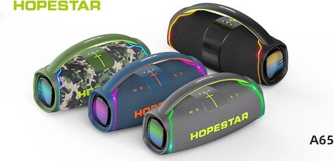 WorryFree Gadgets مكبر صوت محمول من سلسلة Hopestar بقدرة 300 واط مع مقبض وميكروفون (رمادي) in Saudi Arabia