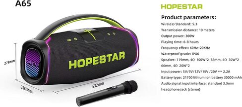 WorryFree Gadgets مكبر صوت محمول من سلسلة Hopestar بقدرة 300 واط مع مقبض وميكروفون (رمادي) in Saudi Arabia