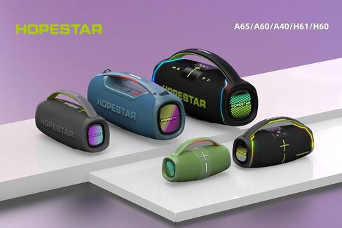 WorryFree Gadgets مكبر صوت محمول من سلسلة Hopestar بقدرة 300 واط مع مقبض وميكروفون (رمادي) in Saudi Arabia