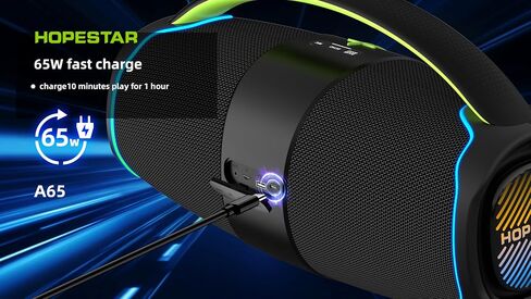 WorryFree Gadgets مكبر صوت محمول من سلسلة Hopestar بقدرة 300 واط مع مقبض وميكروفون (رمادي) in Saudi Arabia