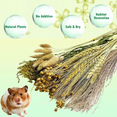 PINVNBY Natural Flower & Herb Bedding Habitat Decor for Hamsters Gerbils Mice Lemming Degus or Other Small Pets (Flower Version) in Kuwait