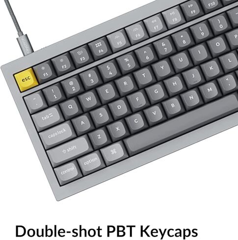 Keychron Q5 Wired Custom Mechanical Keyboard, Hot-Swappable RGB Backlight QMK/VIA Programmable Macro for Mac Windows Linux, Double-Gasket- Silver Grey, Gateron G Pro Red Switch in Saudi Arabia