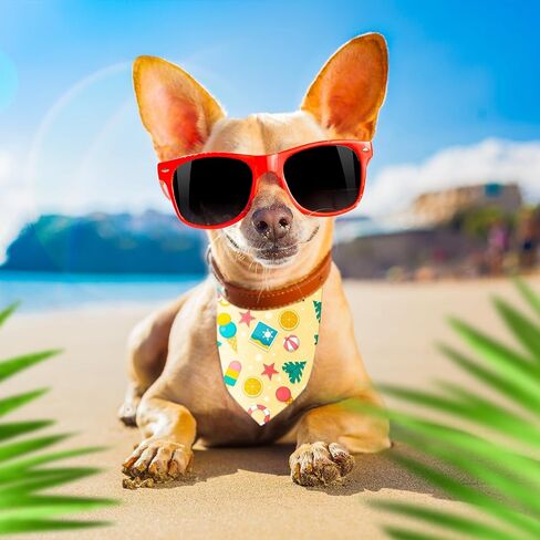 15 Pcs Dog Bandanas Blank Heat Transfer Pet Bandana Washable Puppy Scarfs Dog Scarf Pet Triangle Bibs Heat Press Adjustable Bib Kerchief for DIY Small Medium Large Pup Pet in Saudi Arabia