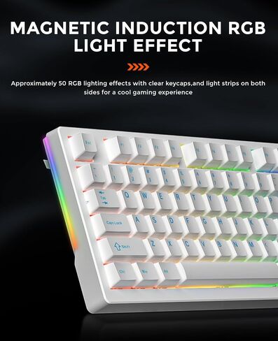 DAREU EK75RT Rapid Trigger Wired Gaming Keyboard, Hall Effect Magnetic Switch Mechanical Keyboard, Adjustable Actuation, 75% TKL with Knob, Magnetic Sensing RGB Backlit, PBT Keycaps for FPS in Saudi Arabia