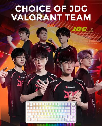 DAREU EK75RT Rapid Trigger Wired Gaming Keyboard, Hall Effect Magnetic Switch Mechanical Keyboard, Adjustable Actuation, 75% TKL with Knob, Magnetic Sensing RGB Backlit, PBT Keycaps for FPS in Saudi Arabia