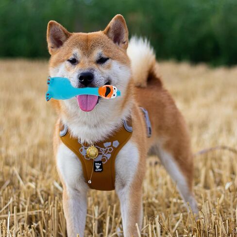 Ipetboom لعبة صراخ الدجاج المطاطية الزرقاء لعبة الكلب اللاتكس لعبة تدريب المضغ مزحة لعبة جديدة صانع ضوضاء الدجاج للكلاب المتوسطة والصغيرة in Kuwait