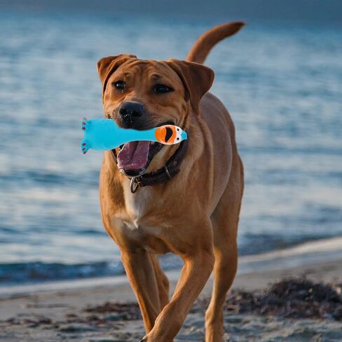 Ipetboom لعبة صراخ الدجاج المطاطية الزرقاء لعبة الكلب اللاتكس لعبة تدريب المضغ مزحة لعبة جديدة صانع ضوضاء الدجاج للكلاب المتوسطة والصغيرة in Kuwait