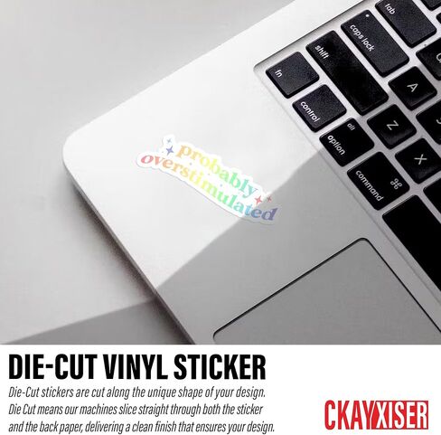 (3 Pcs) Probably Overstimulated Sticker, Funny Mental Health Sticker ADHD Retro Rainbow Sticker 3" Waterproof Vinyl Sticker for Laptop, Water Bottle, Tumbler, Accessory Gifts for Her Him 3 Inches in Saudi Arabia