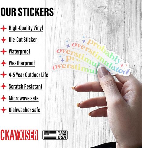 (3 Pcs) Probably Overstimulated Sticker, Funny Mental Health Sticker ADHD Retro Rainbow Sticker 3" Waterproof Vinyl Sticker for Laptop, Water Bottle, Tumbler, Accessory Gifts for Her Him 3 Inches in Saudi Arabia