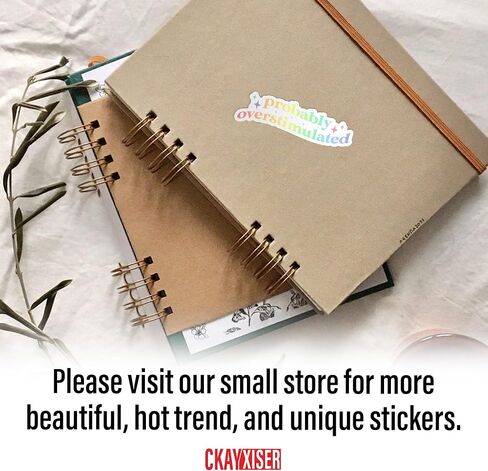 (3 Pcs) Probably Overstimulated Sticker, Funny Mental Health Sticker ADHD Retro Rainbow Sticker 3" Waterproof Vinyl Sticker for Laptop, Water Bottle, Tumbler, Accessory Gifts for Her Him 3 Inches in Saudi Arabia