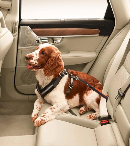 Dog Seat Belt for Car - 14 Inch, Leather, Any Breeds in Saudi Arabia