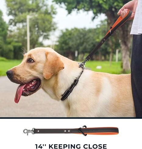 Dog Seat Belt for Car - 14 Inch, Leather, Any Breeds in Saudi Arabia