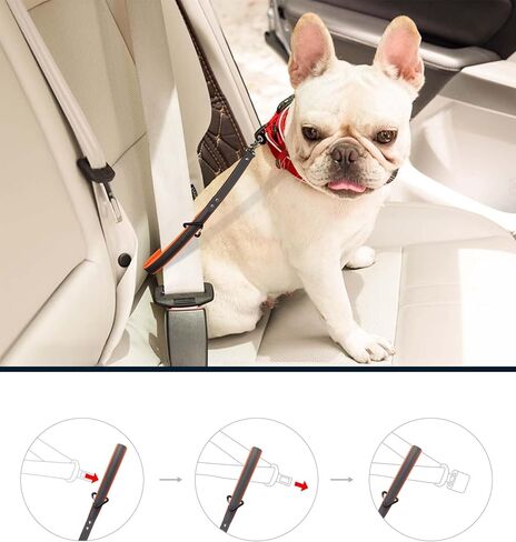 Dog Seat Belt for Car - 14 Inch, Leather, Any Breeds in Saudi Arabia