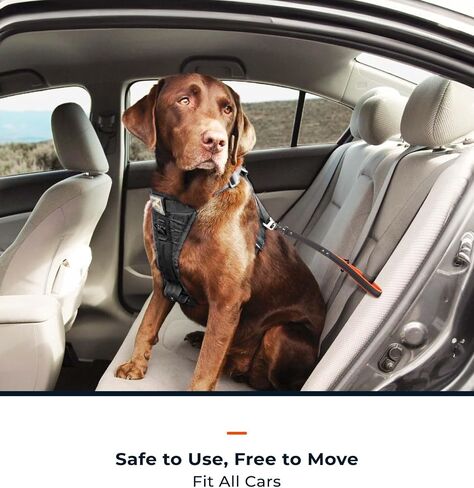 Dog Seat Belt for Car - 14 Inch, Leather, Any Breeds in Saudi Arabia