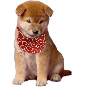 Kawaii Shiba Inu Co. Karakusa Scarf/Bandana for Puppies/Small Dogs
