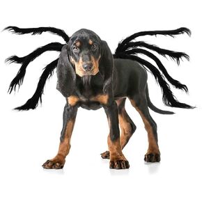 Dog Halloween Costume, Dog Spider Costume, Dog Costumes for Small Medium Large Dogs, Dog Clothes, Spider Costume for Pet Cats Pup Cosplay Fun, Black