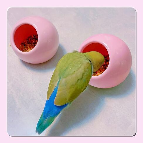 عش الهامستر السيراميكي، عش الهامستر المريح، منازل الهامستر، شينشيلا، تبريد الحيوانات الأليفة، مخبأ الفئران السيراميكي، عش تبريد الحيوانات الأليفة الصغيرة، سيراميك لجميع المواسم (وردي) in Kuwait