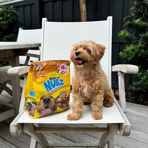 Nylabone Nubz Natural Edible Chew Treats for Dogs, Long Lasting Chews Made in USA, Peanut Butter Flavor, Large - Up to 50 lbs. (18 Count) in Saudi Arabia