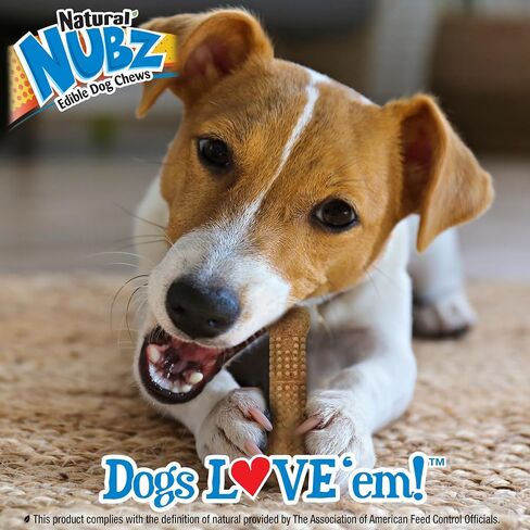 Nylabone Nubz Natural Edible Chew Treats for Dogs, Long Lasting Chews Made in USA, Peanut Butter Flavor, Large - Up to 50 lbs. (18 Count) in Saudi Arabia