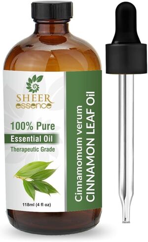 Ravintsara (Ho Leaf) Oil 15 ML (0.51 Fl.OZ) | 100% Pure Natural Undiluted Uncut Therapeutic Grade Cinnamomum Camphora Essential Oil in Saudi Arabia