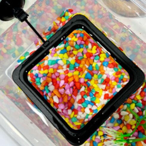 Fish Feeder Square-Shaped Automatic Fish Feeders Reduced Filter Clogging Tank Suitable for All Kinds of Food Tank Accessories in Kuwait