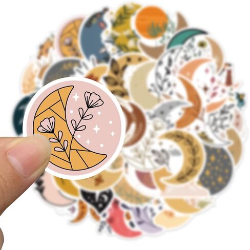 100 قطعة من ملصقات الزهور كوكبة علامات زودياك الزهور الشارات الفينيل ملصقات الزهور المقاومة للماء للمراهقين والبالغين زجاجة مياه للكمبيوتر المحمول لوح التزلج سجل القصاصات قارورة مائية للأطفال المراهقين ديكورات يدوية (زهور كوكبة) in Kuwait
