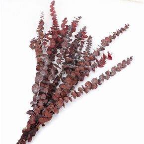 20pcs Dried Eucalyptus Stems 17" Natural Fresh Eucalyptus Plant for Shower Hanging, Wedding Decor Home Decor Farmhouse Decor DIY Spring Decor,Green