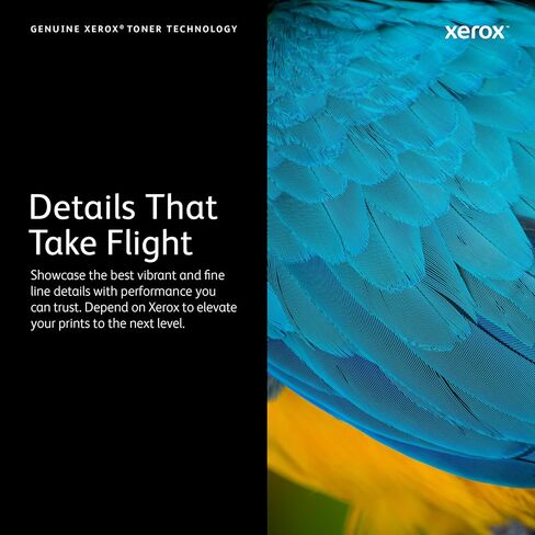 Genuine Xerox Drum-Cartridge, 101R00554 – 65,000 pages for use in VersaLink B400/B405, Black in Kuwait