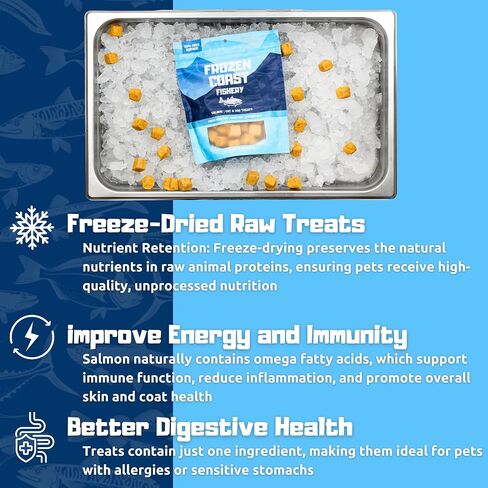 Frozen Coast Freeze-Dried Wild-Caught Salmon Cat & Dog Treats-High-Protein, Omega-3, Grain-Free, Supports Healthy Skin & Coat (2.5 oz-Bag) in Saudi Arabia