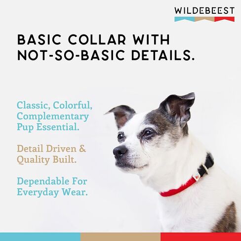 Dog Collar, Lightweight, Heavy Duty Dog Collar with Buckle, Fabric Pet Collar, Breathable & Adjustable Puppy Collar, Dog Collar for Large Dogs (Black, Large - 14-24 Inch) - Wildebeest in Saudi Arabia