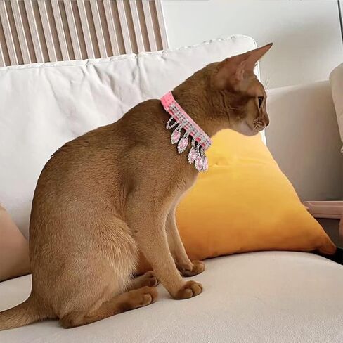 La La Pet® قابل للتعديل القط الماس طوق القط حجر الراين طوق هريرة حجر الراين طوق القط قلادة طوق الكلب الماس طوق جرو الماس طوق طوق الحيوانات الأليفة للحيوانات الصغيرة الوردي XS in Kuwait