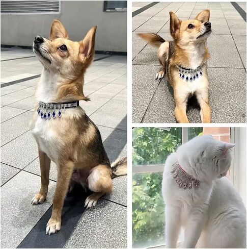 La La Pet® قابل للتعديل القط الماس طوق القط حجر الراين طوق هريرة حجر الراين طوق القط قلادة طوق الكلب الماس طوق جرو الماس طوق طوق الحيوانات الأليفة للحيوانات الصغيرة الوردي XS in Kuwait