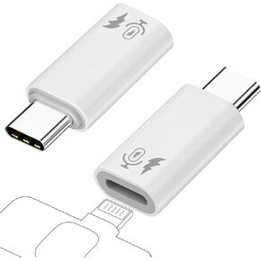 AreMe 2 Pack USB C to Lightning Microphone Adapter, Type C Male to Lightning Female Converter for Wireless Lavalier Microphone, iPhone 15 Series, iPad Air/Pro, Not for Headphone and Data
