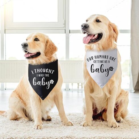 Our Humans are Getting us a Baby Dog Bandana Dog Pregnancy Announcement Dog Scarf Accessories Gender Reveal Dog Bandana Baby Announcement Photo Props for Large Medium Small Dogs 2 Packs in Saudi Arabia