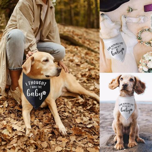 Our Humans are Getting us a Baby Dog Bandana Dog Pregnancy Announcement Dog Scarf Accessories Gender Reveal Dog Bandana Baby Announcement Photo Props for Large Medium Small Dogs 2 Packs in Saudi Arabia