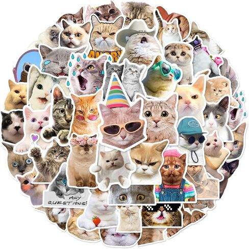 50Pcs Cat Stickers, Kawaii Stickers Vinyl Waterproof Stickers, for Laptop Water Bottle Skateboard Luggage Car Bumper Cute Cat Stickers for Adults Teens in Saudi Arabia